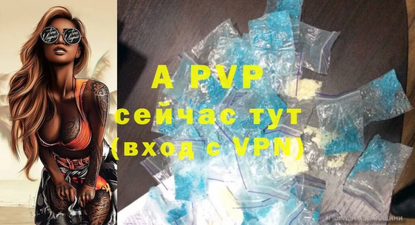 винт Абаза