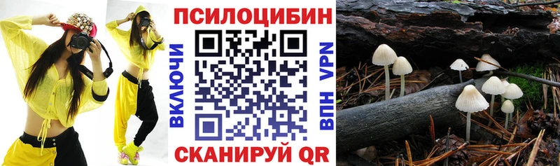 Псилоцибиновые грибы MAGIC MUSHROOMS  Емва 